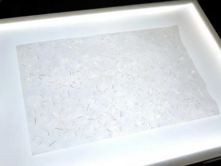 Wet-laid specialty paper with dispersed short-cut fiber